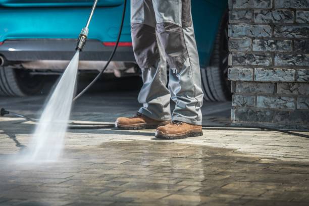Best Winterizing Services  in Cresco, IA