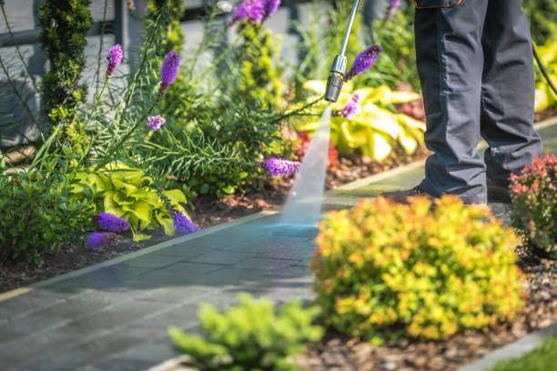 Trusted Cresco, IA Pressure Washing Services Experts